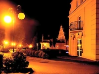 Hotel Wityng 