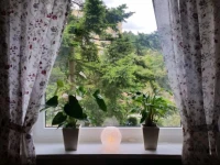 Apartament Opera 