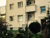 Wild Apartment 