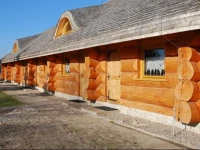 Pod KozioroЕјcami 