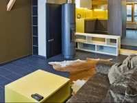 Apartament Mennicza 