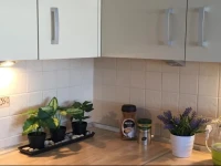 Apartament 1 