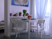 Alex Studio 