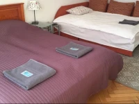 Apartament Smolna 
