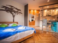 Apartamenty Varsovie Copernicus 