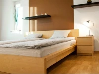 Apartment ЕЃucka 