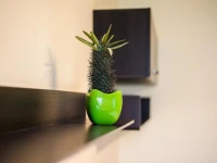 Apartment4You Centrum 2 