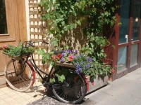 Chopin Boutique B&B 