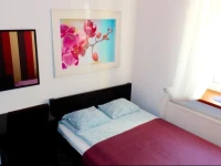 Hostel Coco 