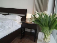Ochota Apartamenty Triton Park 