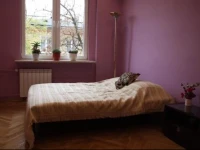 Rokosowska ParaMi 