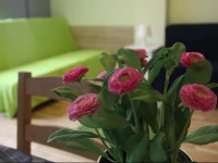 Warszawa Studio Apartament WileЕ„ska ParaMi 