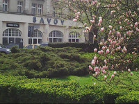 Savoy WrocЕ‚aw