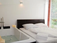 Wiselka Apartament 