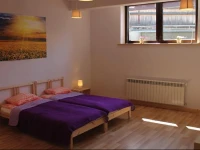 Apartament Bystre 