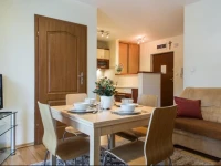 Apartamenty pod Lipkami w Centrum z balkonami (parking) 