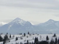 Janosik 