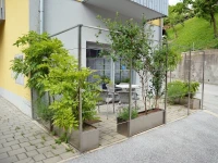 Apartment Muznik 