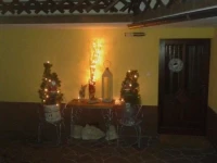 Apartments Olip 3*
