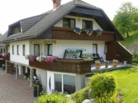 Apartments Skok 3*