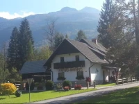 Apartments Alp 