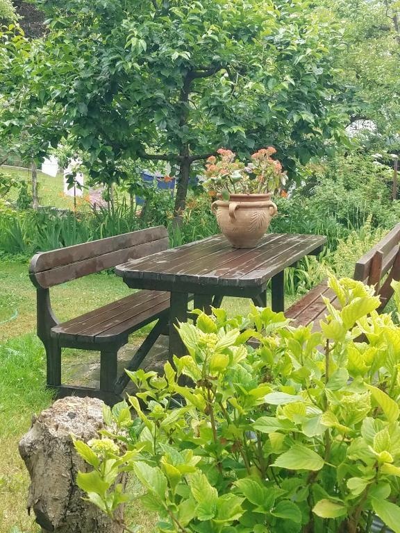 Apartma Raft, Bovec 