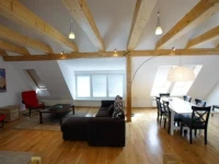 Chalet Alpina 