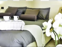B&B Calligaris 