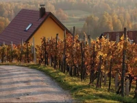 Holiday home Drasici 21 