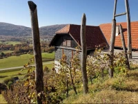 Vineyard cottage Ludvikov hram 
