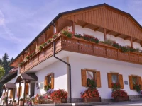 Tourist Farm Е tern Pri KovaДЌniku 