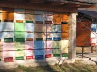 Guest House RoЕѕe 
