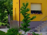 Apartment HISA SONCA 