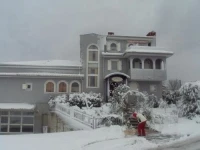 Guest House Garni Mimosa 