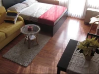 Apartment Bilobrk 