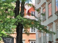 Macek Rooms 