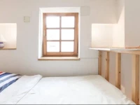 Microflat in the Heart of Ljubljana 