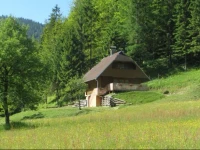 Chalet BrloЕѕnica pod Veliko planino 