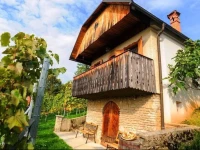 Vineyard cottage Rangus Romantic 