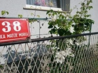 Apartment Zorec 