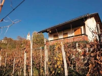 Holiday home Metlika 22 