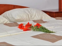 Apartmaji SonДЌek 