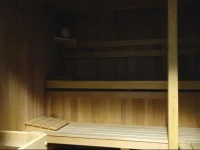 Three-Bedroom Apartment with Mountain View in Podkoren 