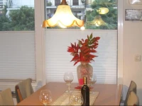 Apartments Gallus 