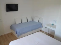 Apartments Ostanek 3*