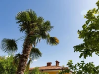 Apartment Lemut 