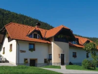 Apartment Slovenj Gradec 03 