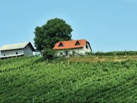 Holiday home Smarje pri Jelsah 47 