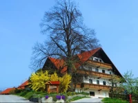 Country House Apat 