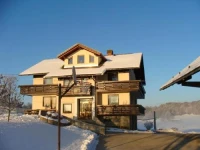 Apartment Vrtacnik 